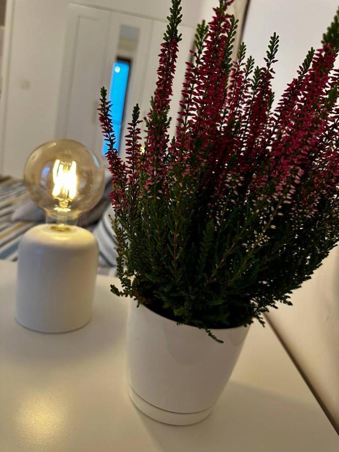 Apartament Centrum, Miejsce Parkingowe W Cenie 바르샤바 외부 사진